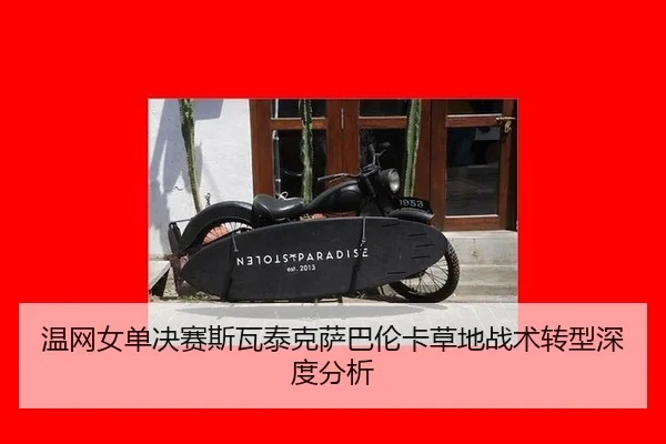 wen-wang-nv-dan-jue-sai-si-wa-tai-ke-sa-ba-lun-ka-cao-di-zhan-shu-zhuan-xing-shen-du-fen-xi-3-710.jpg